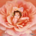 /album/fenykepgaleria/a179261-59543-640x640-wm-jpg/