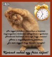 /album/fenykepgaleria/b4793z5u1tjw-jpg/